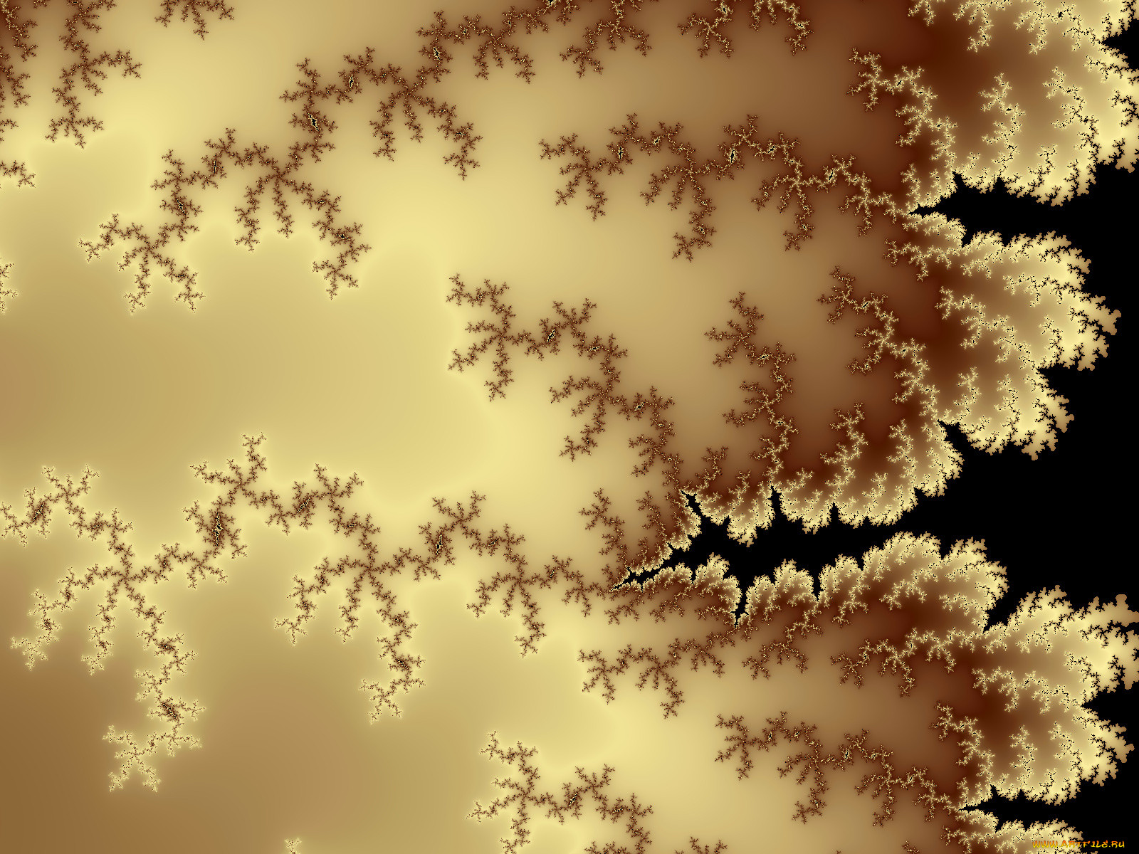 3, , fractal, , , , 